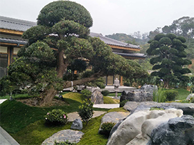 禪意園林 東方美學的寂靜與深刻
