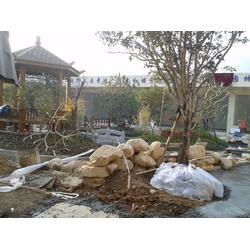 廣東園區綠化種植工程公司 園林工程的藝術與生態融合